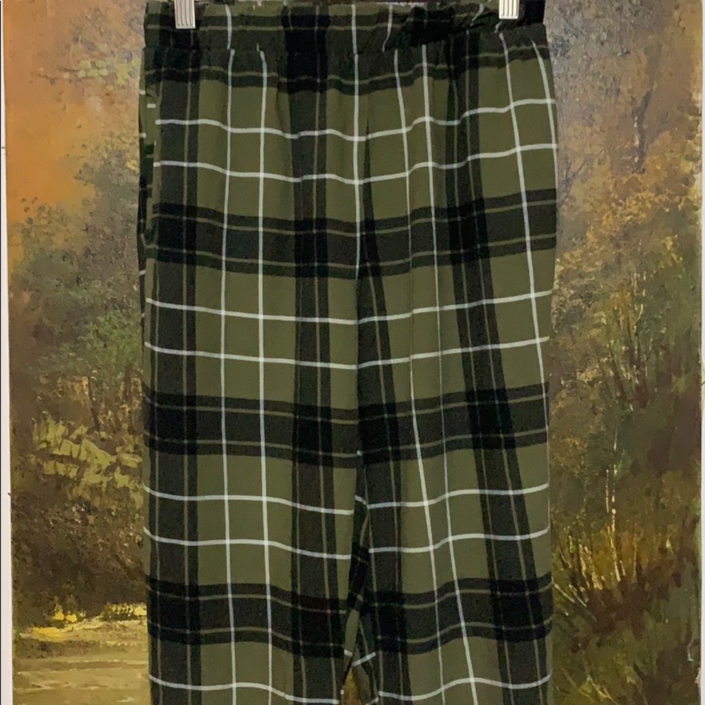 American Eagle Outfitters Don’t Ask Why Pants